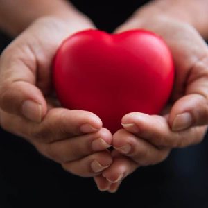 herz-in-der-hand herz-in-der-hand